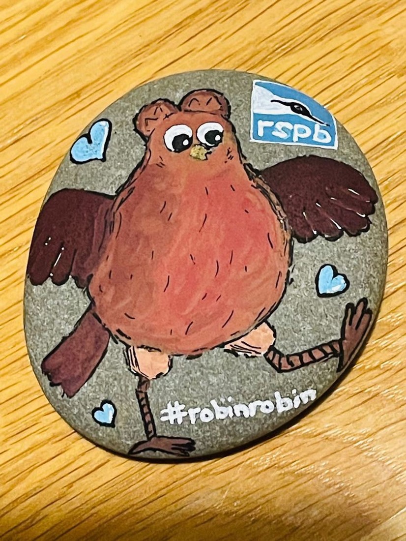 Robin painted onto a stone with RSPB logo
